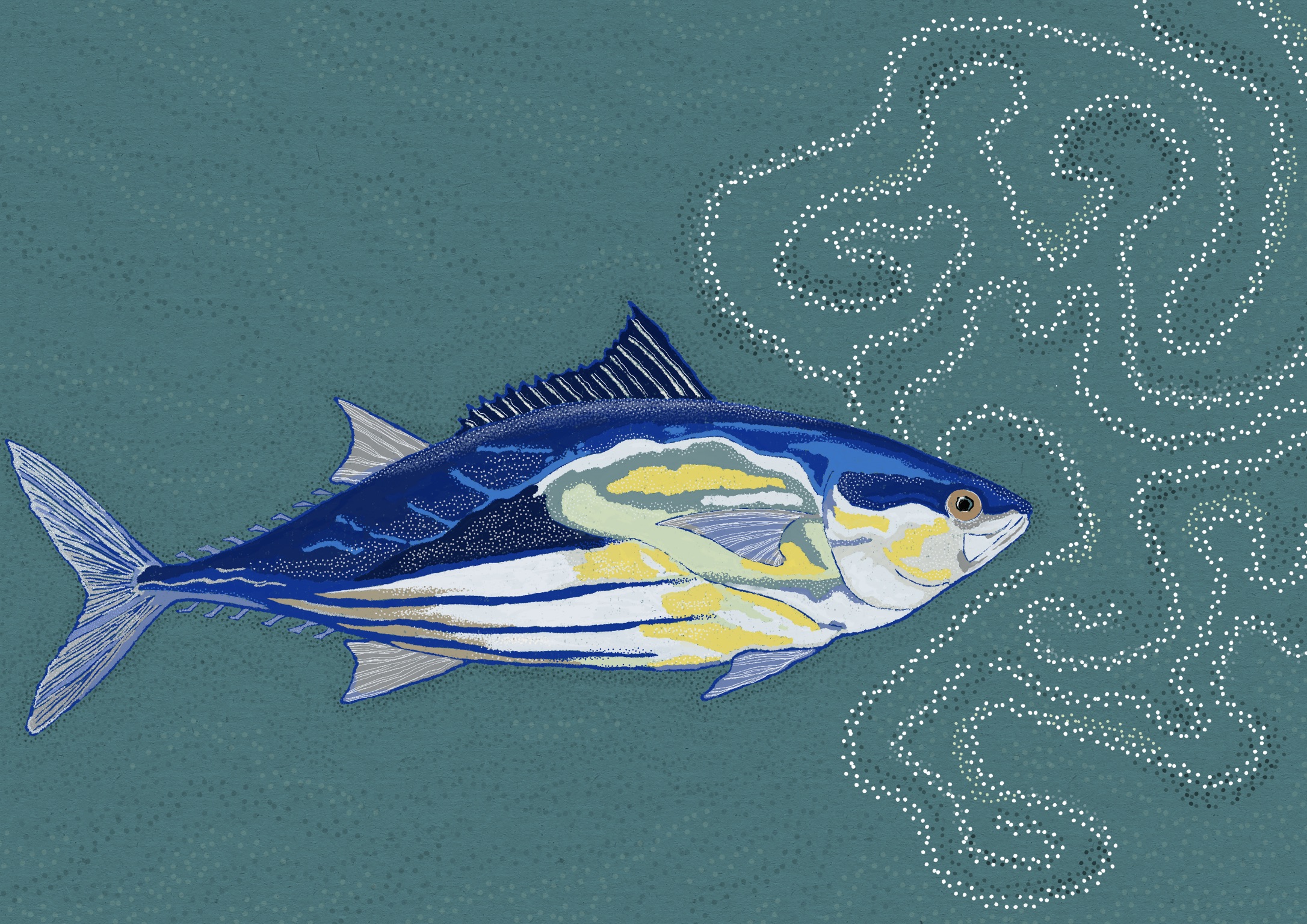 Illustratie voor Bij Nader Inzien artikel 'Door de ogen van een tonijn' door Ester Smits